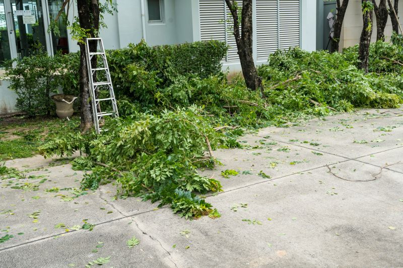 Cherry Tree Removal in Aiken, SC