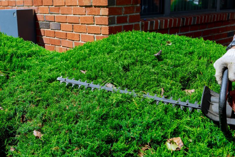 Landscape Trimming Service in Rockwall, TX