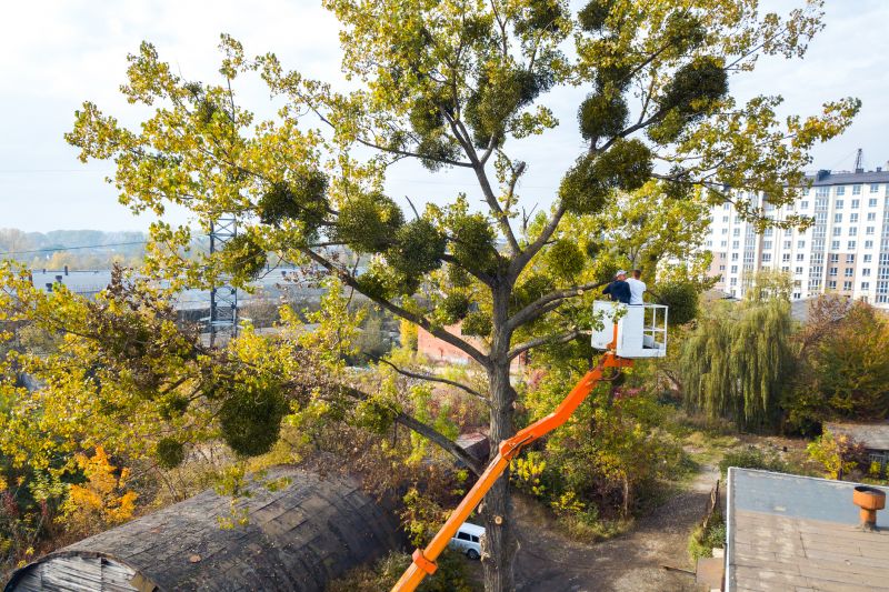 Products For Commercial Tree Service in use